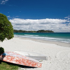 What to do on Waiheke Island