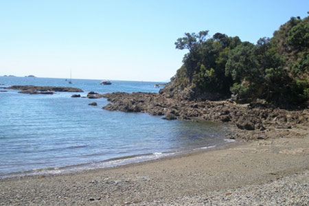 Hekerua Bay, Beaches, Waiheke Island