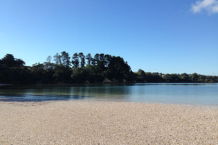 Hooks Beach, Beaches, Waiheke Island