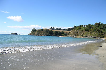 Palm Beach, Beaches, Waiheke Island