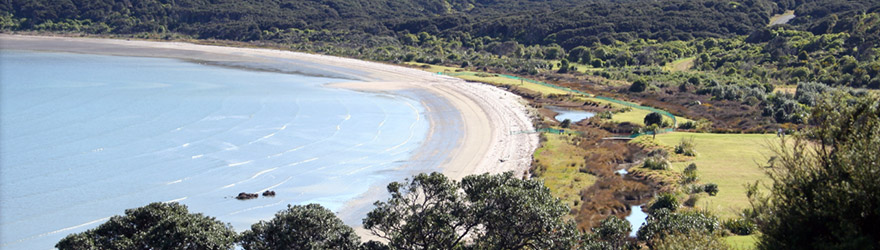 Camping on Waiheke Island