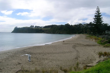 Little Oneroa to Palm Beach, Walks on Waiheke, Waiheke Island