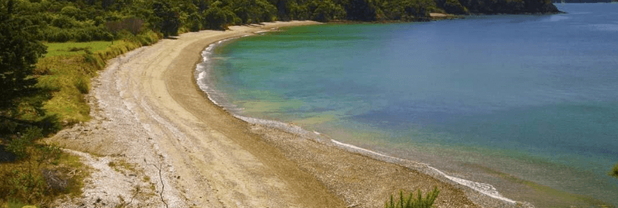 Park Point Waiheke Walkway