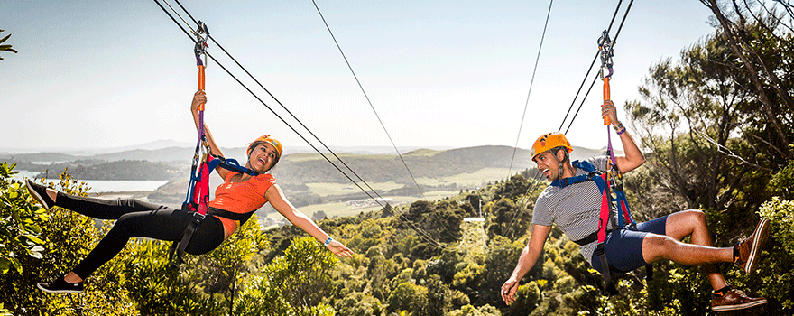 Flying Fox on Waiheke - EcoZip - Zip Lining on Waiheke